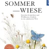 Sommerwiese