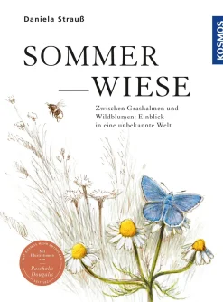 Sommerwiese