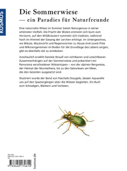Sommerwiese