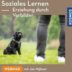 Soziales Lernen – Erziehung durch Vorbilder