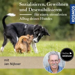 Sozialisieren, Gewöhnen & Desensibilisieren – für einen stressfreien Alltag deines Hundes