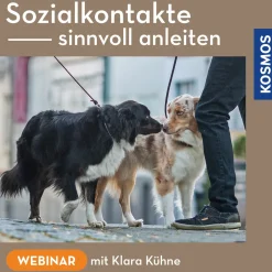 Sozialkontakte sinnvoll anleiten