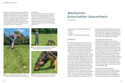 Sprachkurs Hund mit Martin Rütter