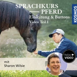 Sprachkurs Pferd – Einleitung & Buttons Teil 1