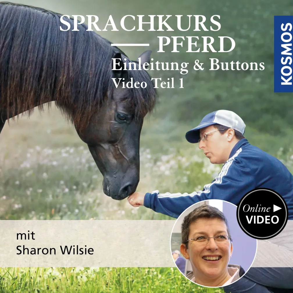 Sprachkurs Pferd – Einleitung & Buttons Teil 1