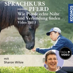 Sprachkurs Pferd – Wie Pferde echte Nähe und Verbindung finden Teil 3