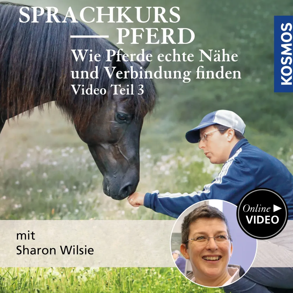 Sprachkurs Pferd – Wie Pferde echte Nähe und Verbindung finden Teil 3
