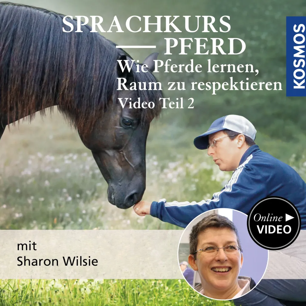 Sprachkurs Pferd – Wie Pferde lernen, Raum zu respektieren Teil 2