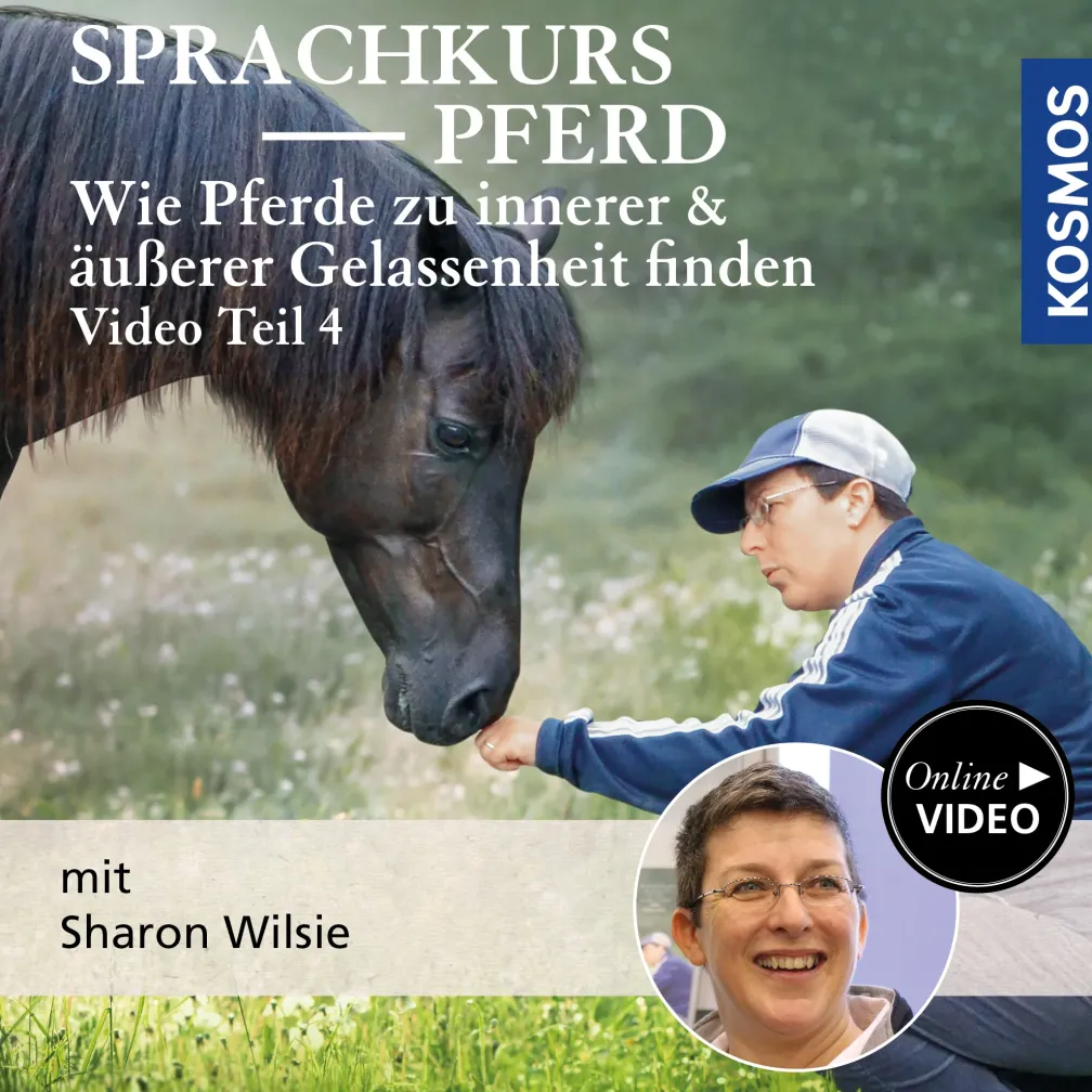 Sprachkurs Pferd – Wie Pferde zu innerer und äußerer Gelassenheit finden Teil 4