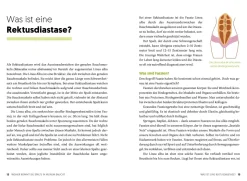 Stabile Mitte
