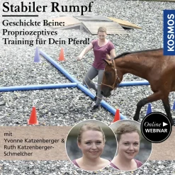 Stabiler Rumpf – geschickte Beine: Propriozeptives Training für mein Pferd!
