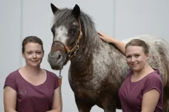 Stabiler Rumpf – geschickte Beine: Propriozeptives Training für mein Pferd!