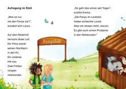 Sternenschweif, Bücherhelden 1. Klasse, Hilfe für die Ponys
