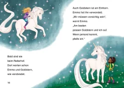 Sternenschweif, Bücherhelden 1. Klasse, Hilfe für die Ponys