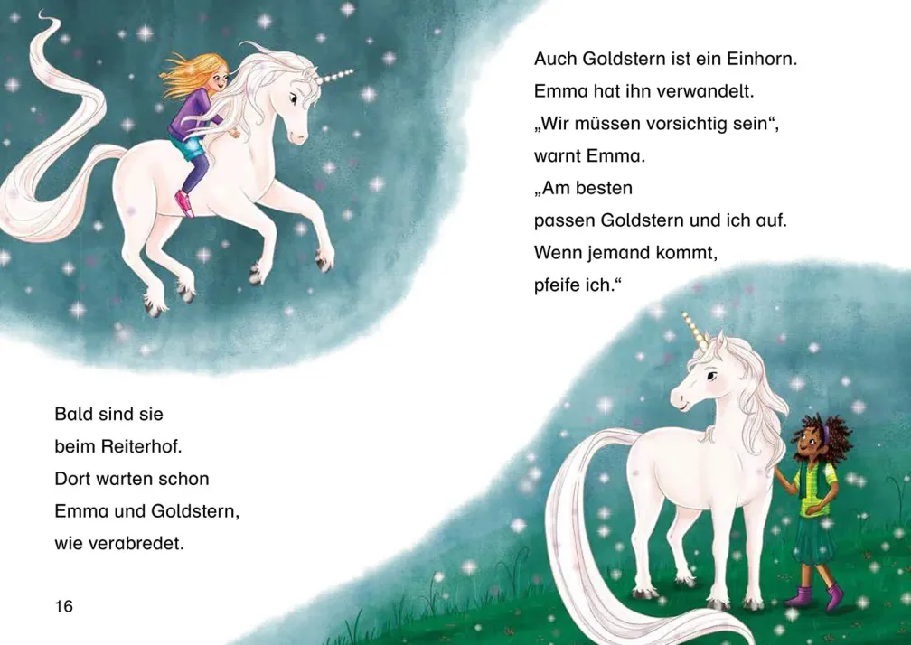 Sternenschweif, Bücherhelden 1. Klasse, Hilfe für die Ponys