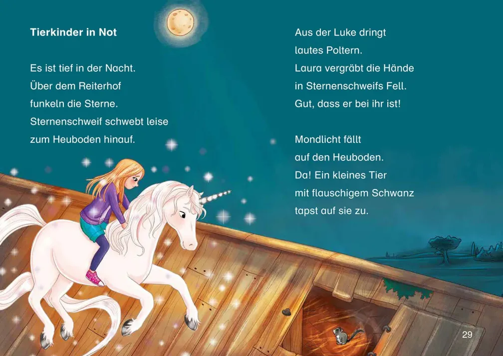 Sternenschweif, Bücherhelden 1. Klasse, Hilfe für die Ponys