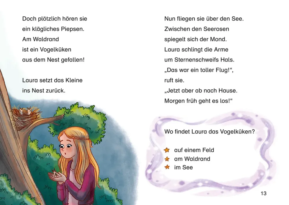 Sternenschweif, Bücherhelden 1. Klasse, Ferien auf dem Reiterhof