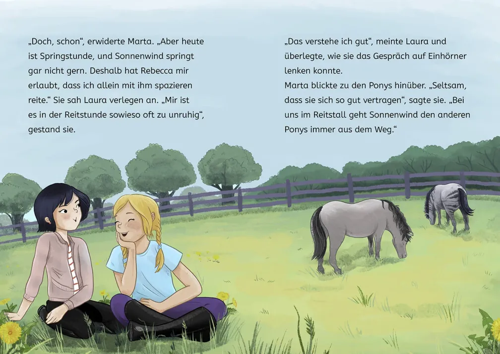 Sternenschweif, 3, Das Zauber-Zebra