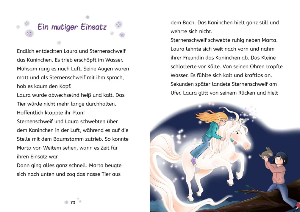 Sternenschweif, 3, Das Zauber-Zebra