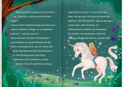 Sternenschweif, Der steinerne Spiegel