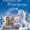 Sternenschweif, 55, Geheimnis der Winterponys