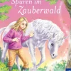Sternenschweif, 11, Spuren im Zauberwald