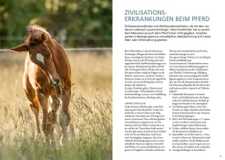 Stoffwechselerkrankungen bei Pferden