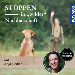 Stoppen in wilder Nachbarschaft