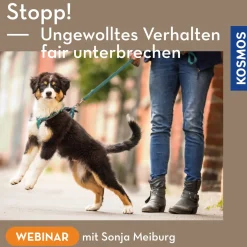 Stopp! Ungewolltes Verhalten fair unterbrechen