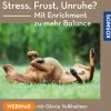Stress, Frust, Unruhe? Mit Enrichment zu mehr Balance