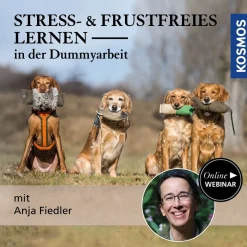 Stress- und frustfreies Lernen in der Dummyarbeit