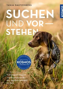 Suchen und Vorstehen