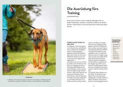 Tellington-Training für Hunde