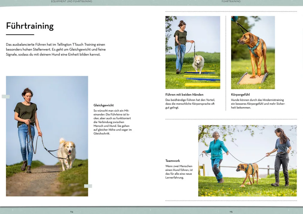 Tellington-Training für Hunde