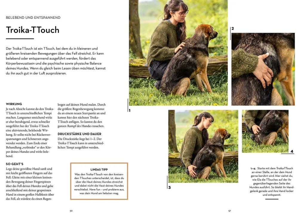 Tellington-Training für Hunde