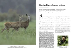 Tiere beobachten mit dem Wildtierguide