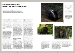 Tiere beobachten mit dem Wildtierguide