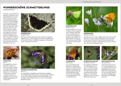 Tiere beobachten mit dem Wildtierguide