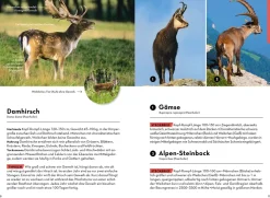 Tiere und Pflanzen Deiner Heimat