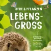 Tiere und Pflanzen lebensgroß
