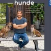 Tierschutzhunde
