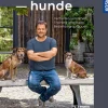 Tierschutzhunde