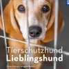 Tierschutzhund Lieblingshund