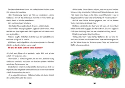 TKKG Junior, Kein Hitzefrei für Detektive - 12 spannende Ratekrimis