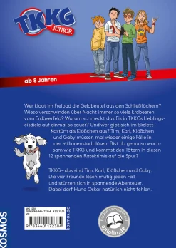TKKG Junior, Kein Hitzefrei für Detektive - 12 spannende Ratekrimis