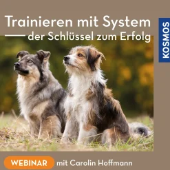 Trainieren mit System – der Schlüssel zum Erfolg