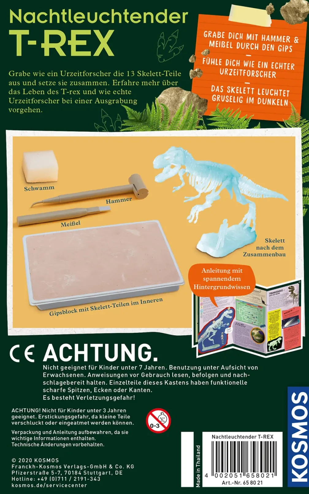 T-REX nachtleuchtend