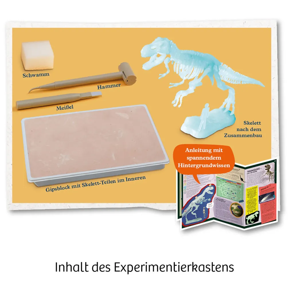T-REX nachtleuchtend