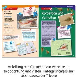 Triops-Welt
