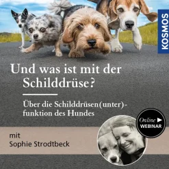 Und was ist mit der Schilddrüse? – Über die Schilddrüsen(unter)funktion des Hundes